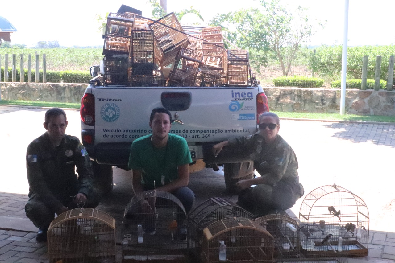 Apreensão de 34 aves Divulgação SEMA SFI 1