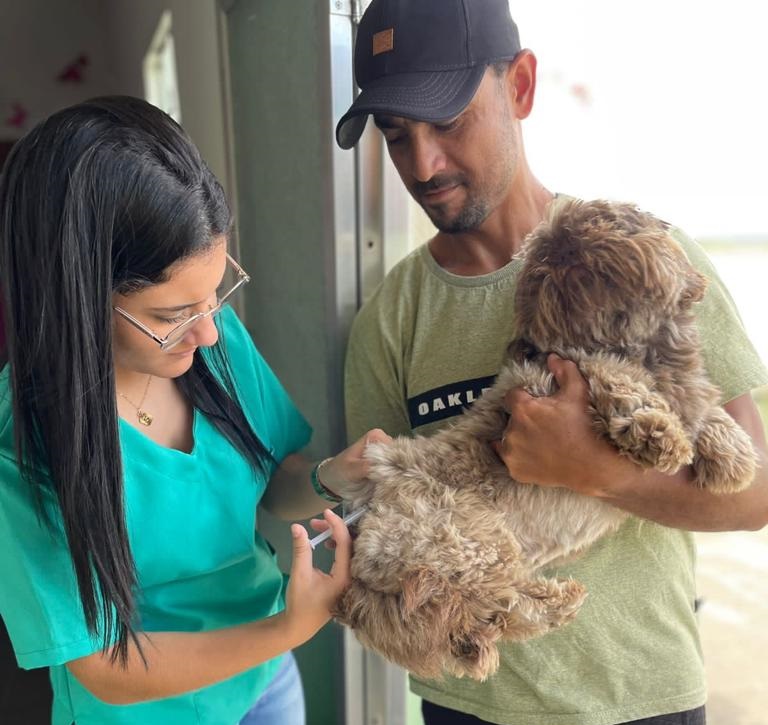Dia D de vacinação antirrábica para cães e gatos Divulgação 10