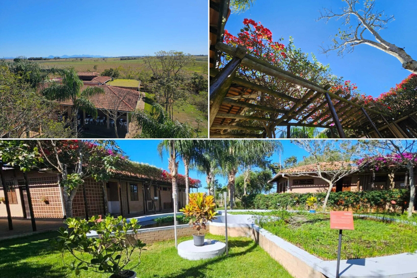 ESTAÇÃO ECOLÓGICA