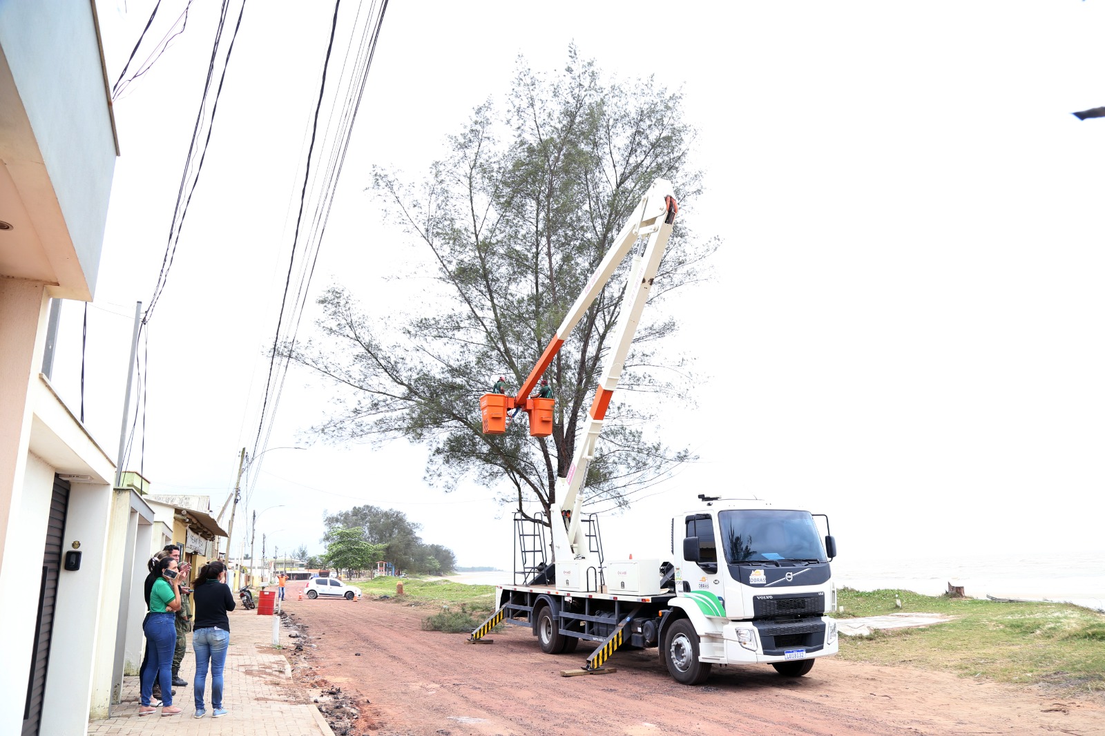 Retirada de casuarinas ASCOM SFI Wagner Fraga 4