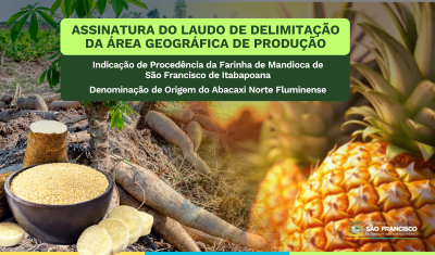 Farinha de mandioca e abacaxi de São Francisco receberão laudo de Indicação Geográfica nesta quinta (23)