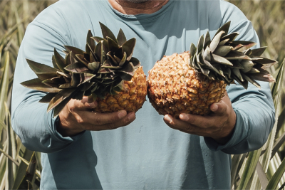 Chamada pública para aquisição de produtos da agricultura familiar acontece nesta quarta (30)